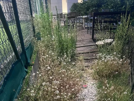 Opis slike