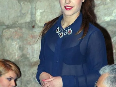 Opis slike