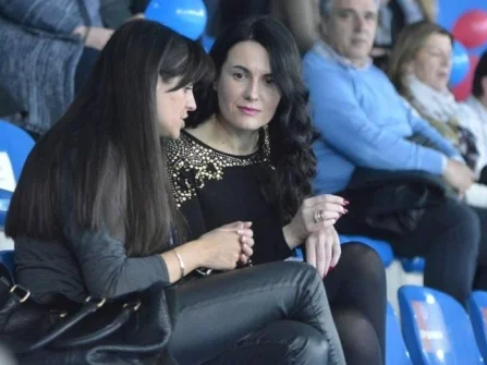 Opis slike