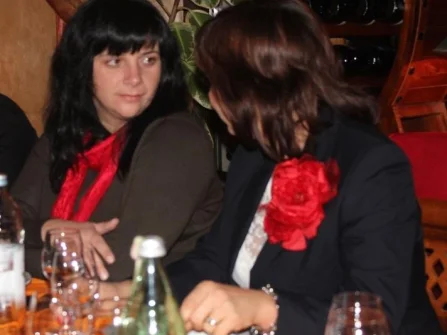 Opis slike