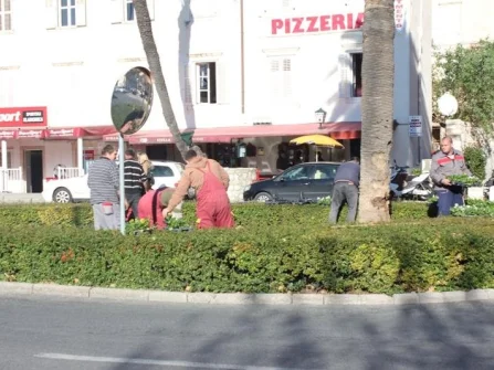 Opis slike