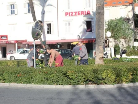 Opis slike