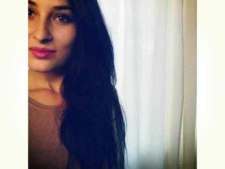 Opis slike