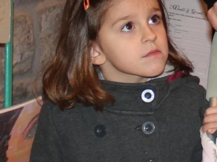 Opis slike