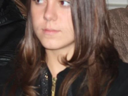 Opis slike