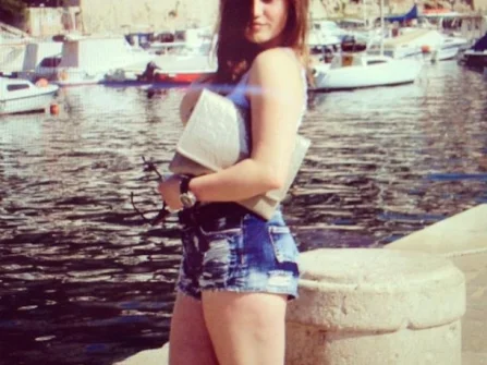 Opis slike
