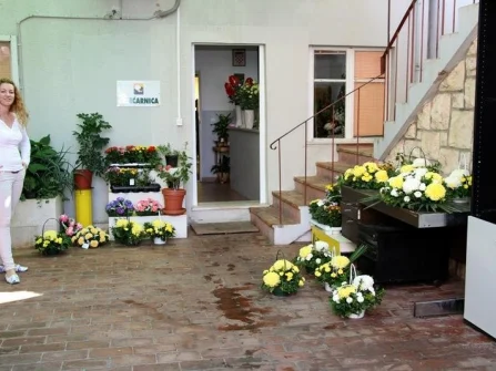 Opis slike
