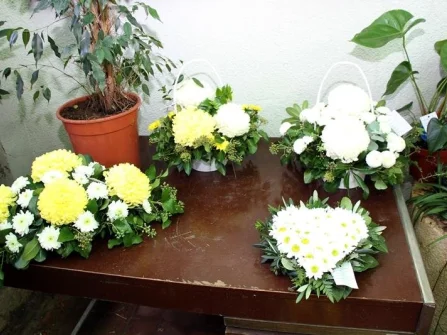 Opis slike