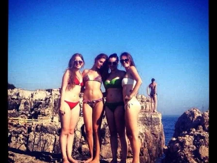 Opis slike