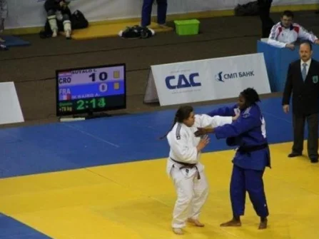 Opis slike