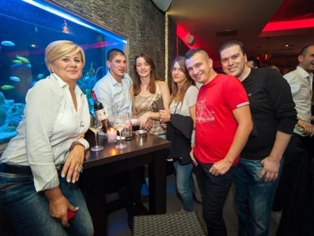 Opis slike