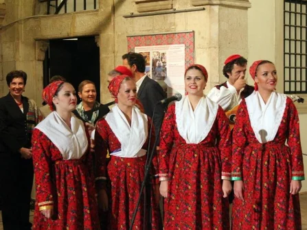 Opis slike