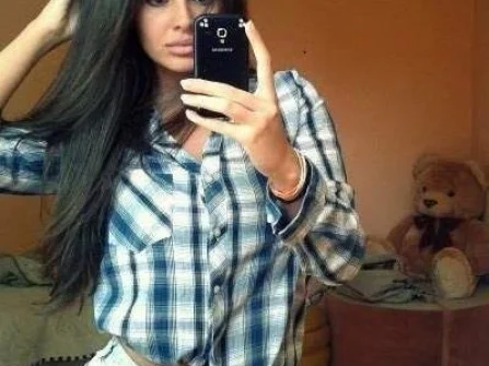 Opis slike