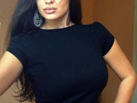 Opis slike