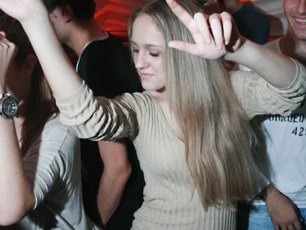 Opis slike