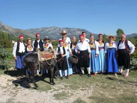 Opis slike