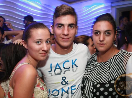 Opis slike