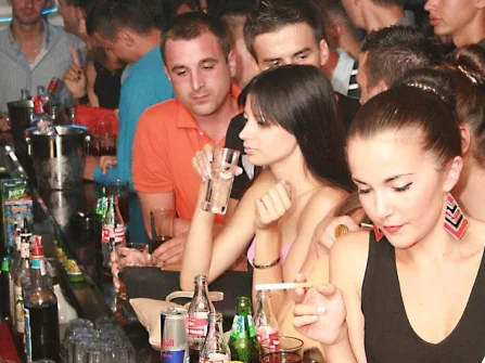 Opis slike
