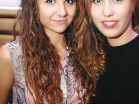 Opis slike