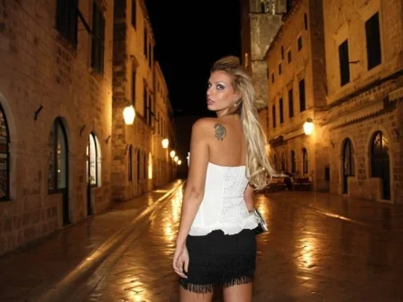 Opis slike