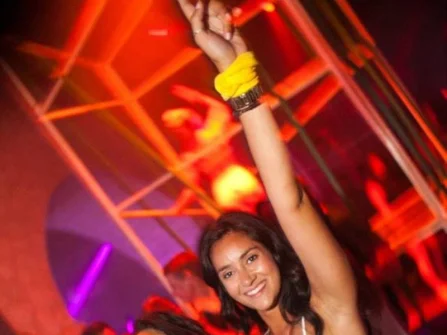 Opis slike