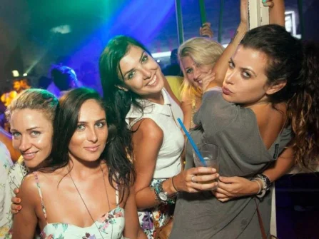Opis slike