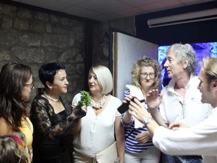 Opis slike
