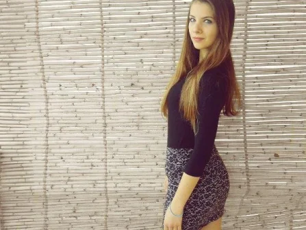 Opis slike