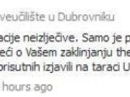 Opis slike
