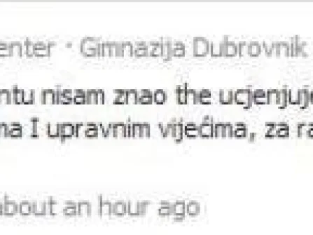 Opis slike