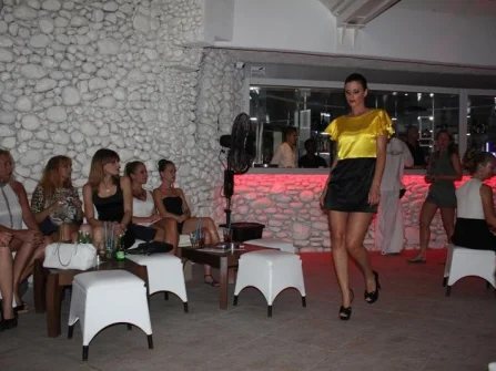 Opis slike