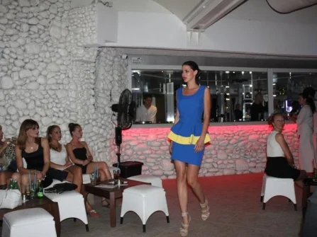 Opis slike