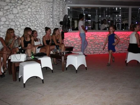 Opis slike