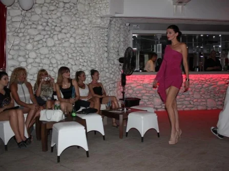 Opis slike