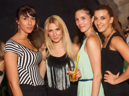 Opis slike