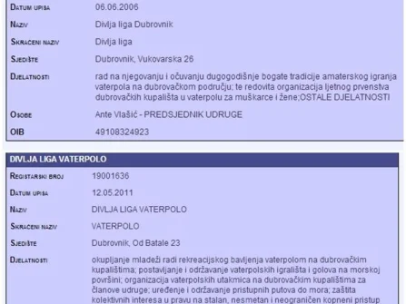 Opis slike