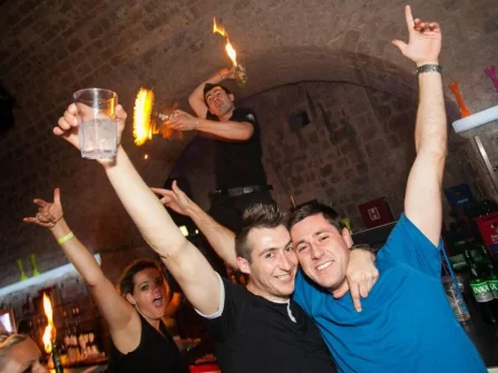 Opis slike