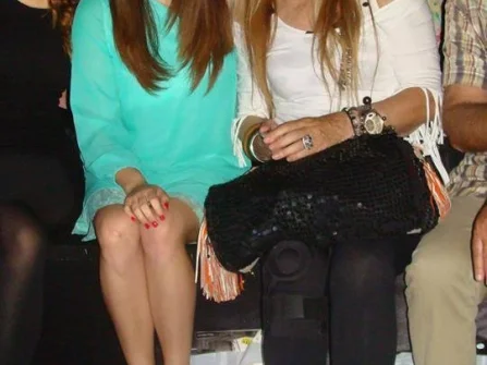 Opis slike