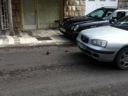 Opis slike