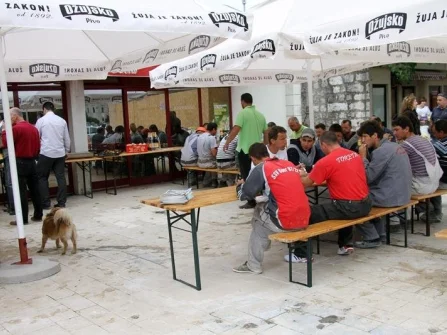 Opis slike