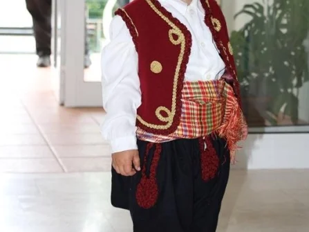 Opis slike
