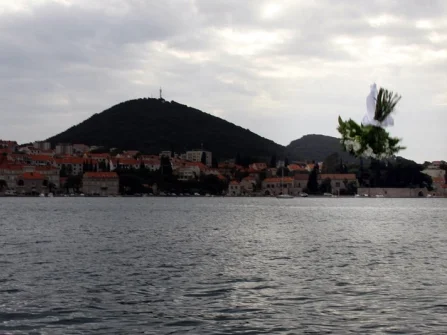 Opis slike