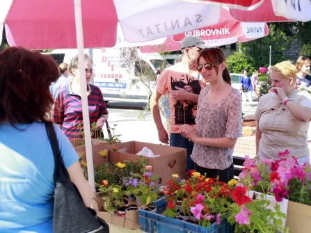Opis slike