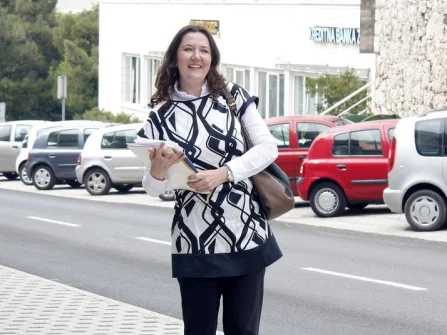 Opis slike