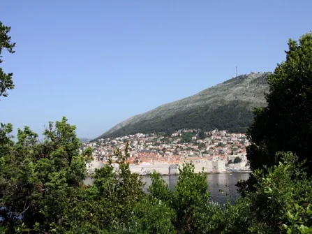 Opis slike