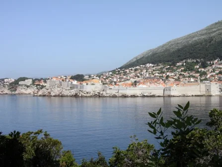 Opis slike