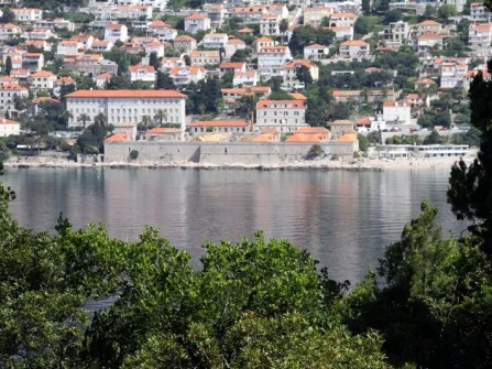 Opis slike