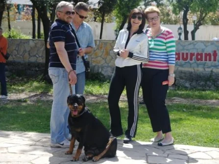 Opis slike
