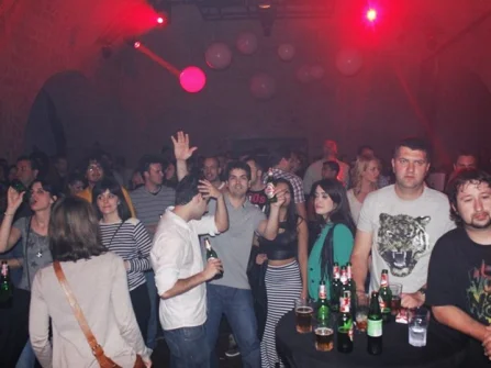 Opis slike