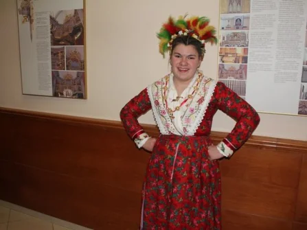 Opis slike